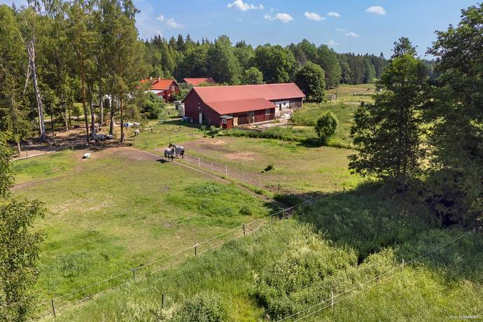 Vattholma Vargdansen 216