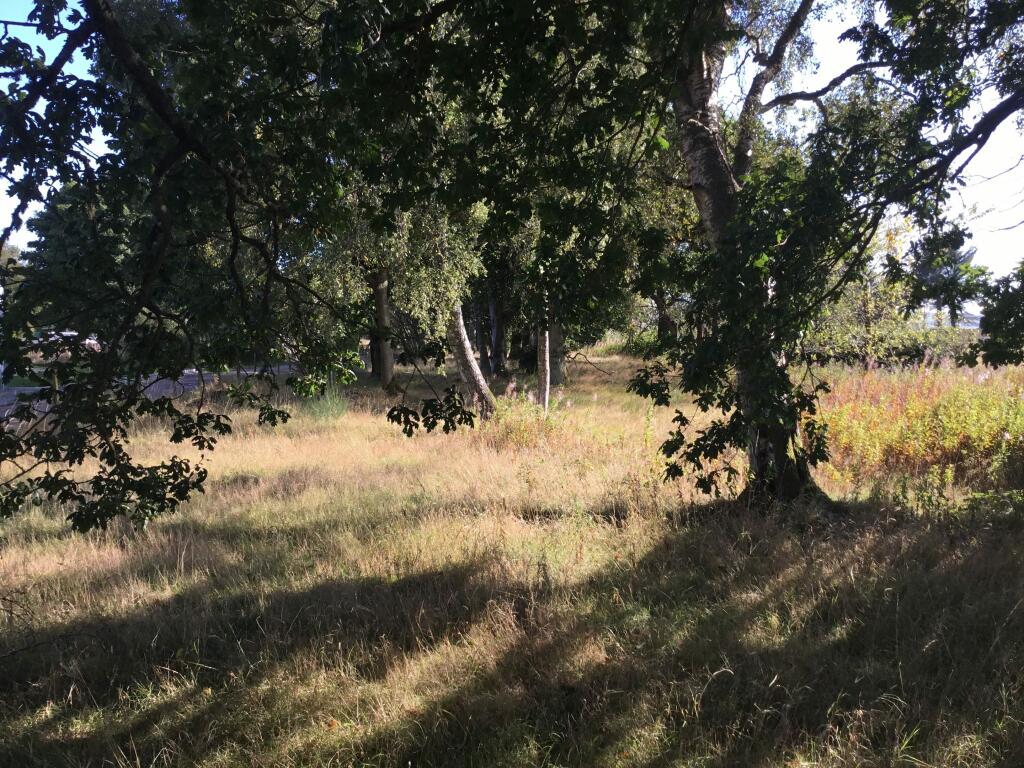 Additional image 8 of Plot of land, Crossroads, Fordoun, Laurencekirk, AB30 1SJ