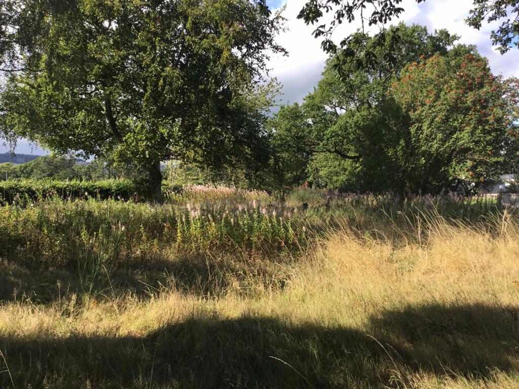 Additional image 13 of Plot of land, Crossroads, Fordoun, Laurencekirk, AB30 1SJ