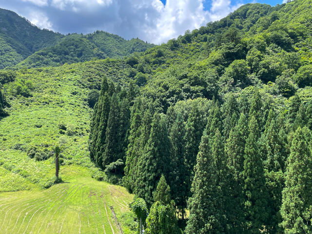 Additional image 3 of Niigata Prefecture Minamiuonuma District Yuzawa Town Tsuchitaru