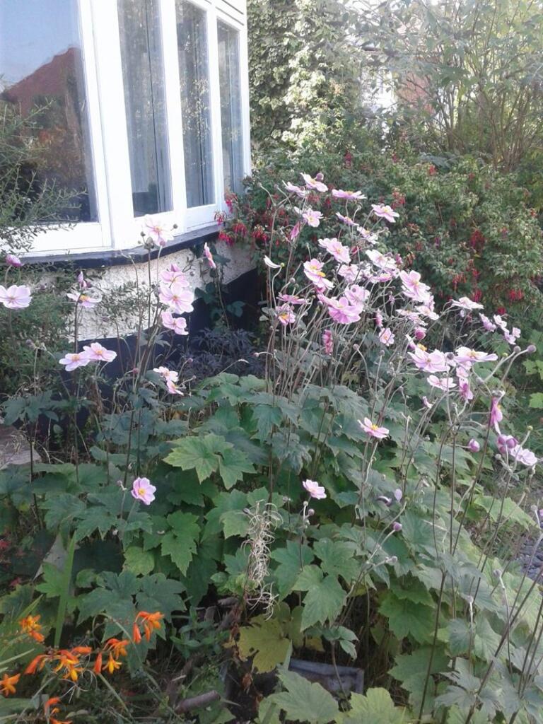 Additional image 12 of Penn Hill Avenue, Poole, BH14