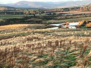 Additional image 6 of Land At Eslie, Banchory, Aberdeenshire, AB31