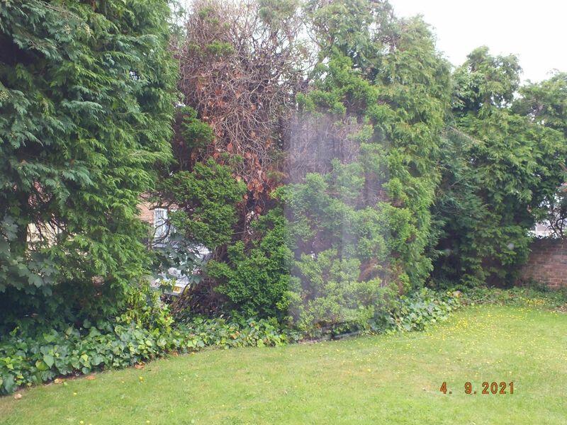 Additional image 5 of Alton Road, Wallisdown