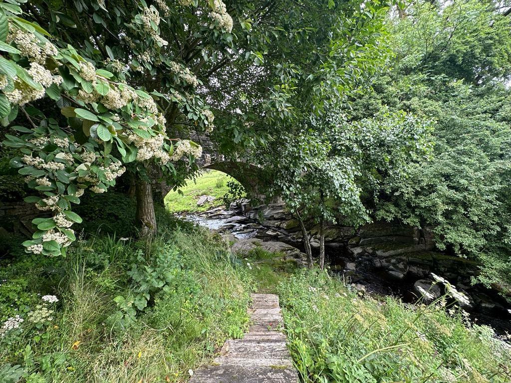 Additional image 52 of Dibbles Bridge Cottage and Annexe, Hartlington, Skipton
