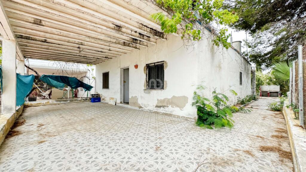 Primary image of Valencia, Valencia, Oliva, Spain