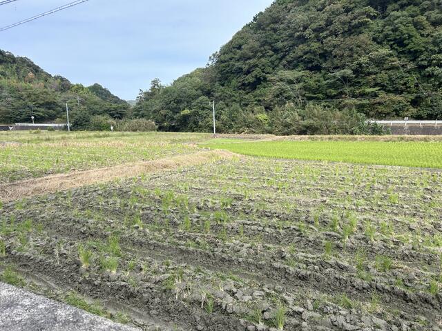 Additional image 6 of Nodatsubo, Hatamachi, Tokushima City, Tokushima Prefecture