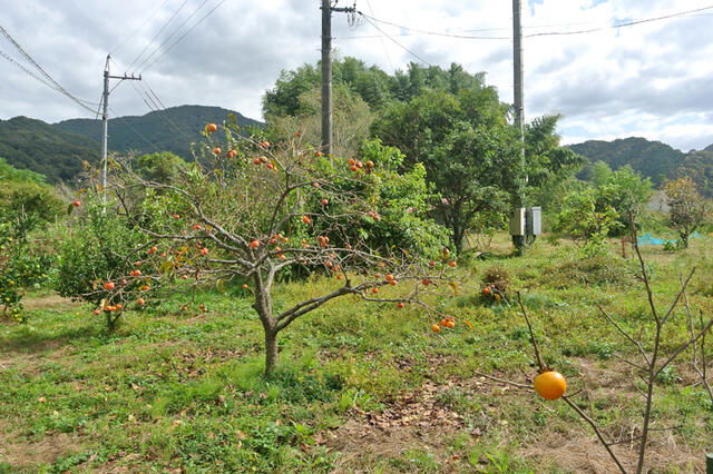 Additional image 13 of Kawamomachi, Takahashi City, Okayama Prefecture
