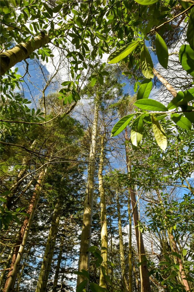 Additional image 13 of Tillydrine House, Kincardine O'Neil, Aboyne, Aberdeenshire, AB34