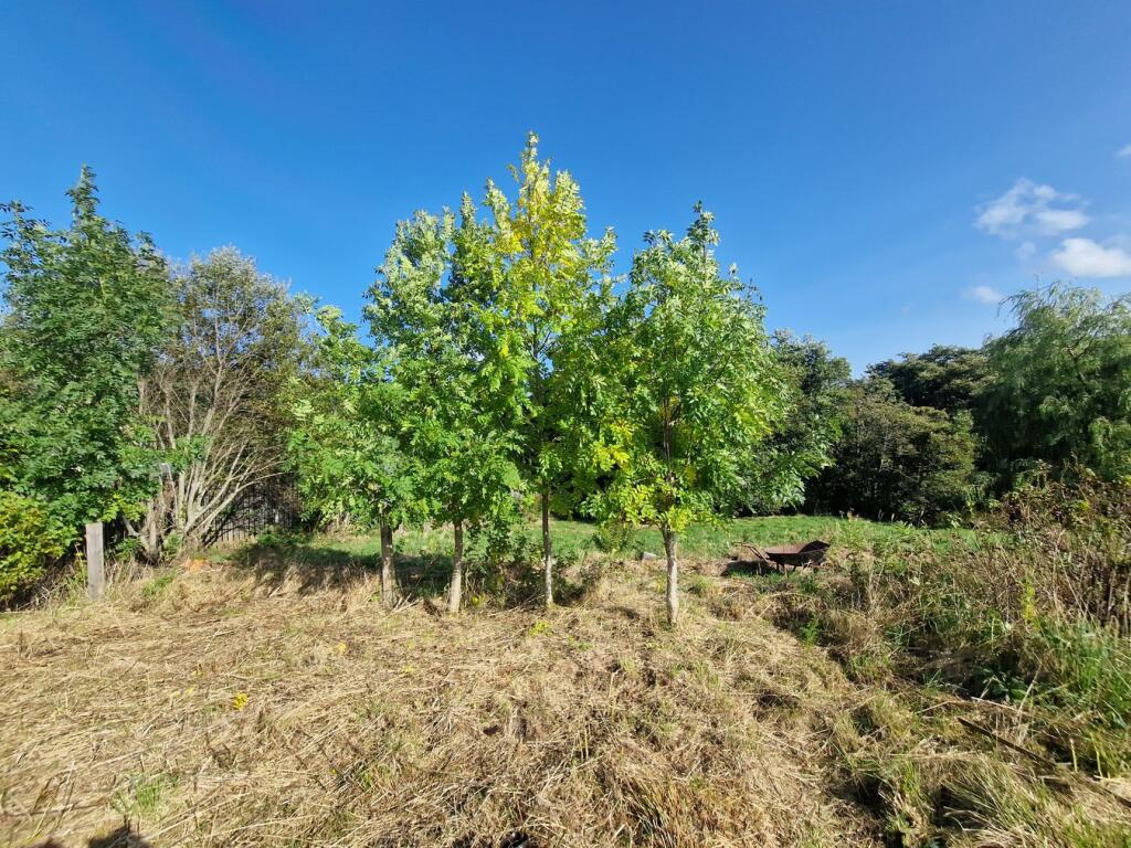 Additional image 10 of Hillside, Rothes, Aberlour, AB38