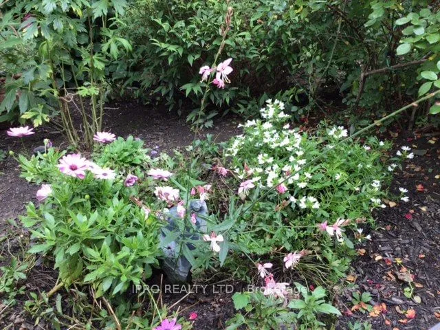 Additional image 30 of 13 Sparklett Cres