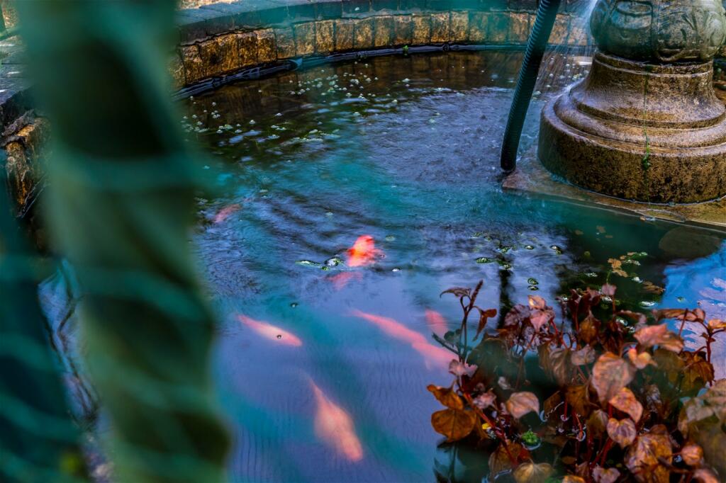 Additional image 56 of Skipton Road, Foulridge, Colne, BB8 7PY