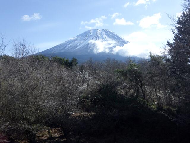Additional image 2 of Fujigamine, Fujikawaguchiko-cho, Minamitsuru-gun, Yamanashi Prefecture