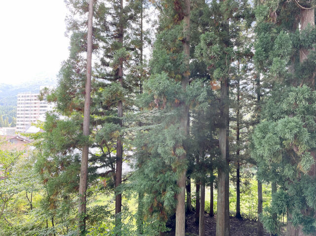 Additional image 7 of Oaza Mikuni, Yuzawa Town, Minamiuonuma District, Niigata Prefecture