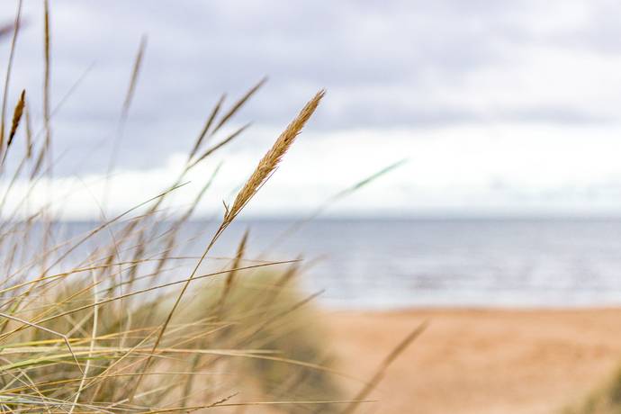 Additional image 2 of Norra Strandvägen 1C