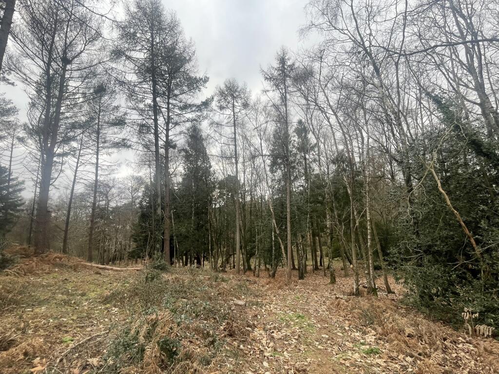 Additional image 13 of Roundhill Cottages, Blandford Road North