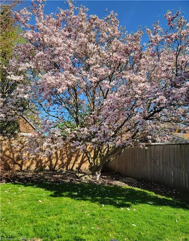 Additional image 48 of 31 Pinecrest Dr