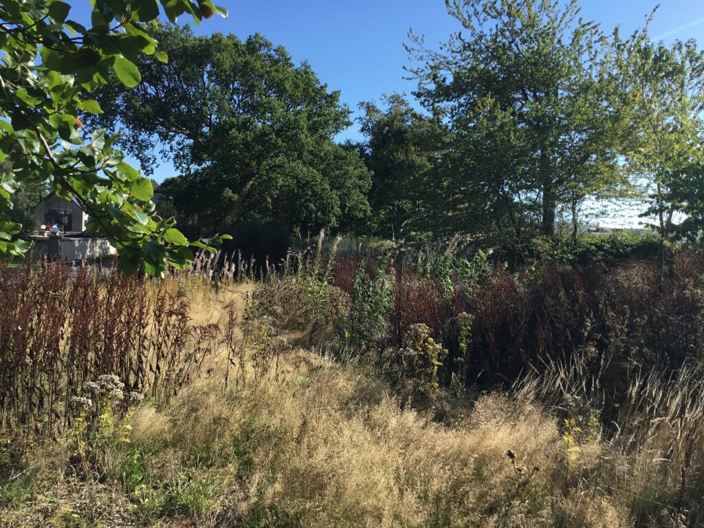 Additional image 7 of Plot of land, Crossroads, Fordoun, Laurencekirk, AB30 1SJ