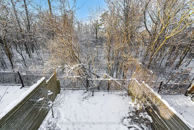 Additional image 37 of 185 Maitland St