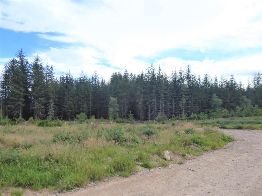 Additional image 10 of Plot 1, Cossack Wood, Craigellachie,  AB38 9SL: