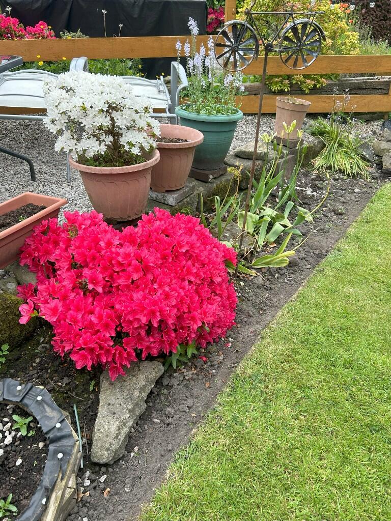 Additional image 21 of College Croft, BD24