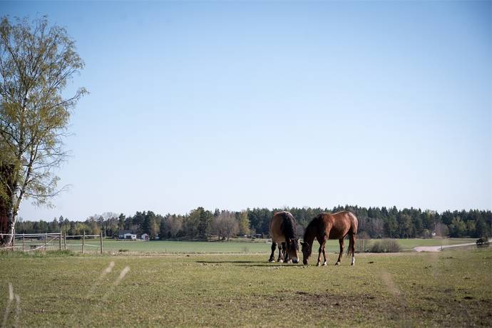 Additional image 2 of Karleby 8, Kungsåra / Ängsö, Västerås kommun