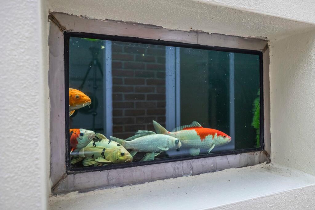 Additional image 7 of 37a Bingham Avenue, Lilliput, Poole, BH14