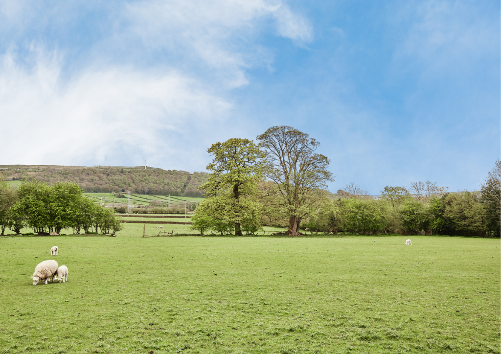 Additional image 24 of Plot 33, The Emily, The Willows, Silsden