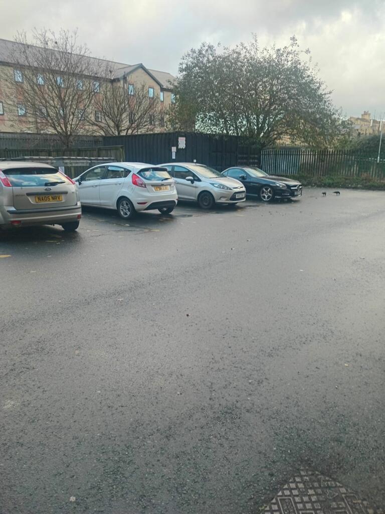 Additional image 8 of 135 Great Horton Road, Bradford, United Kingdom , BD7 1QG