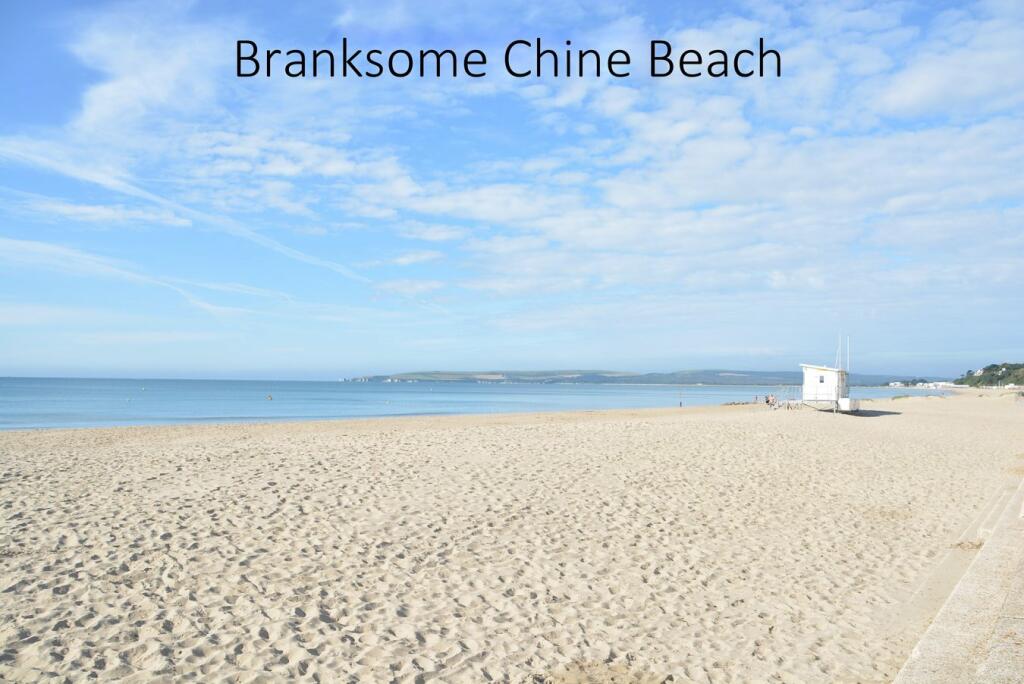 Additional image 31 of The Avenue, Branksome Park, Poole, BH13
