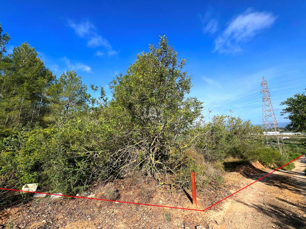 Additional image 2 of Catalonia, Tarragona, Vallmoll, Spain