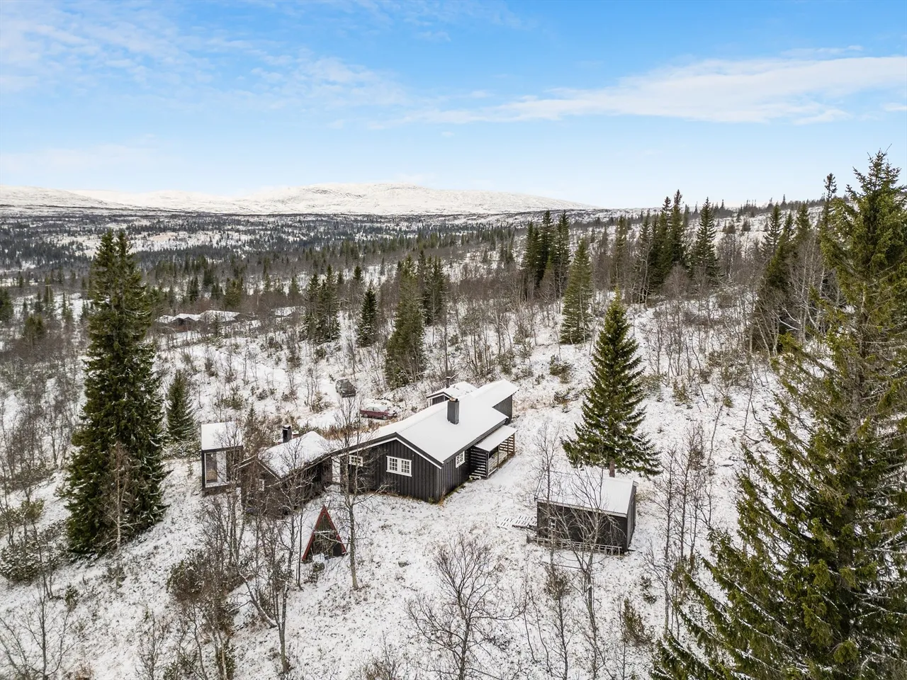 Additional image 3 of Nesjøvegen 113, 7590 Tydal