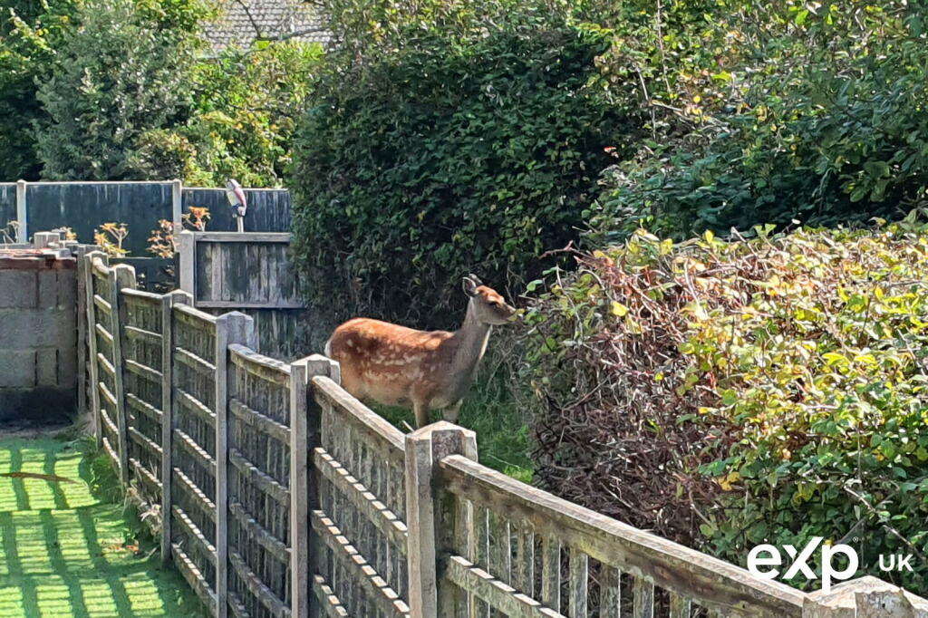 Additional image 32 of Impressive Five Bedroom Detached Family Home with Sea Views, Poole, Dorset