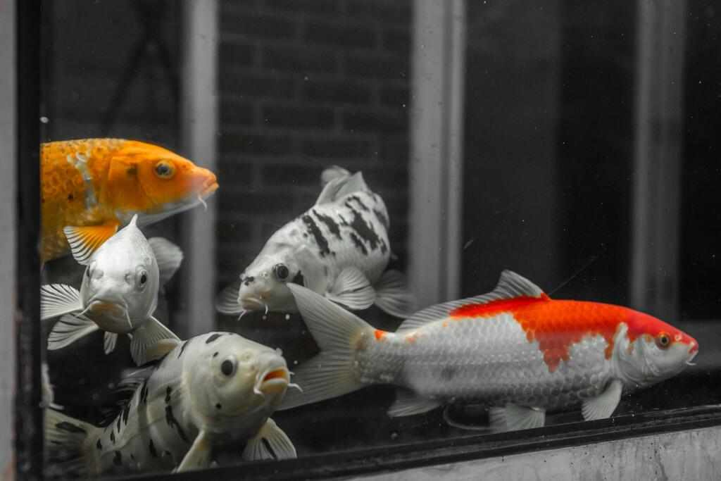 Additional image 9 of 37a Bingham Avenue, Lilliput, Poole, BH14