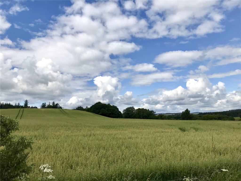 Additional image 4 of Tilbouries Holiday Lodges, Durris, Banchory, Aberdeenshire, AB31