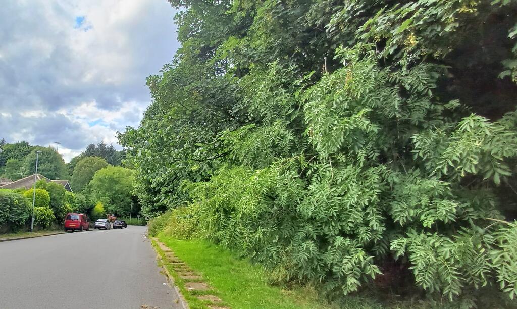 Additional image 34 of Highgate, Bradford, BD9