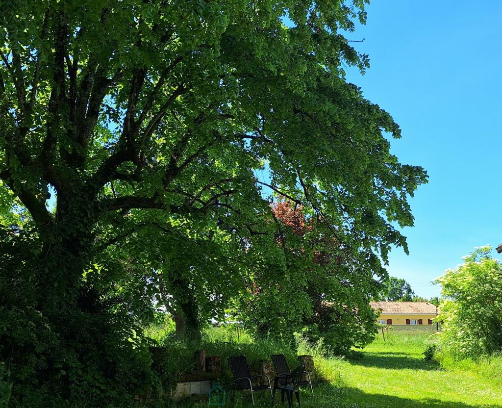 Primary image of Poitou-Charentes, Charente, Condéon, France