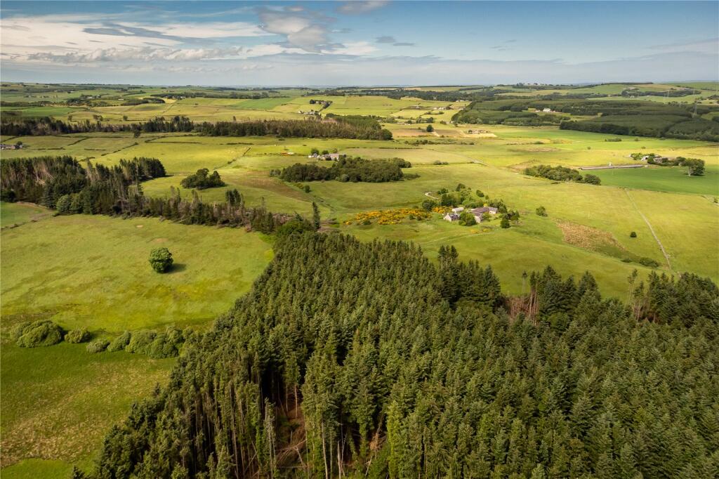 Additional image 2 of Lot 7 Cothill Woodland, Fintray, Aberdeen, Aberdeenshire, AB21