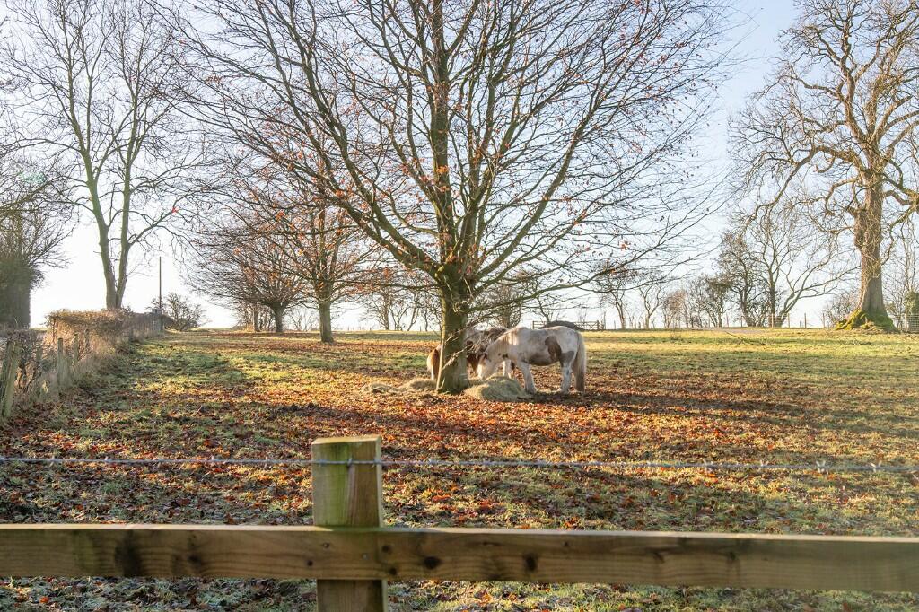 Additional image 51 of Nappa, Skipton, BD23