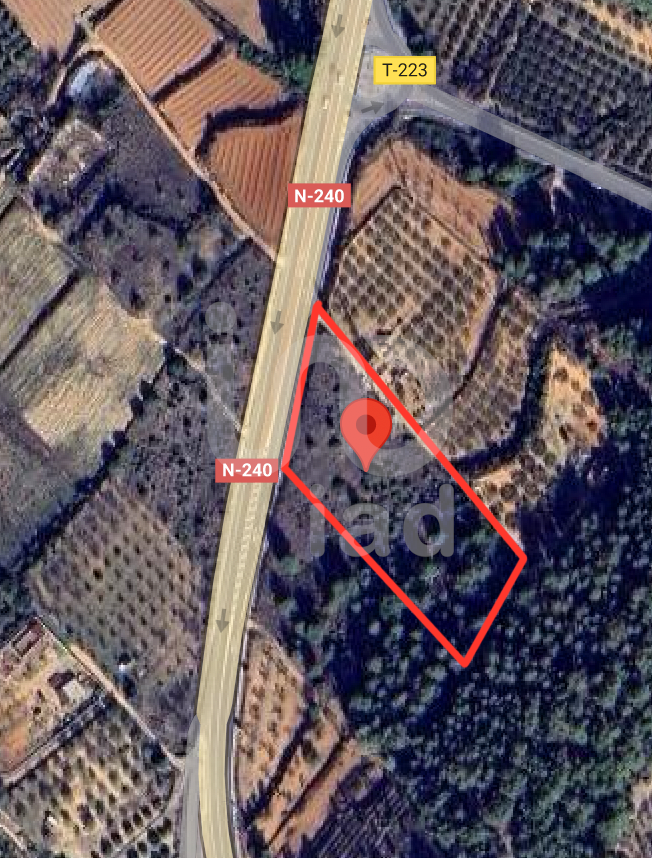 Primary image of Catalonia, Tarragona, Vallmoll, Spain