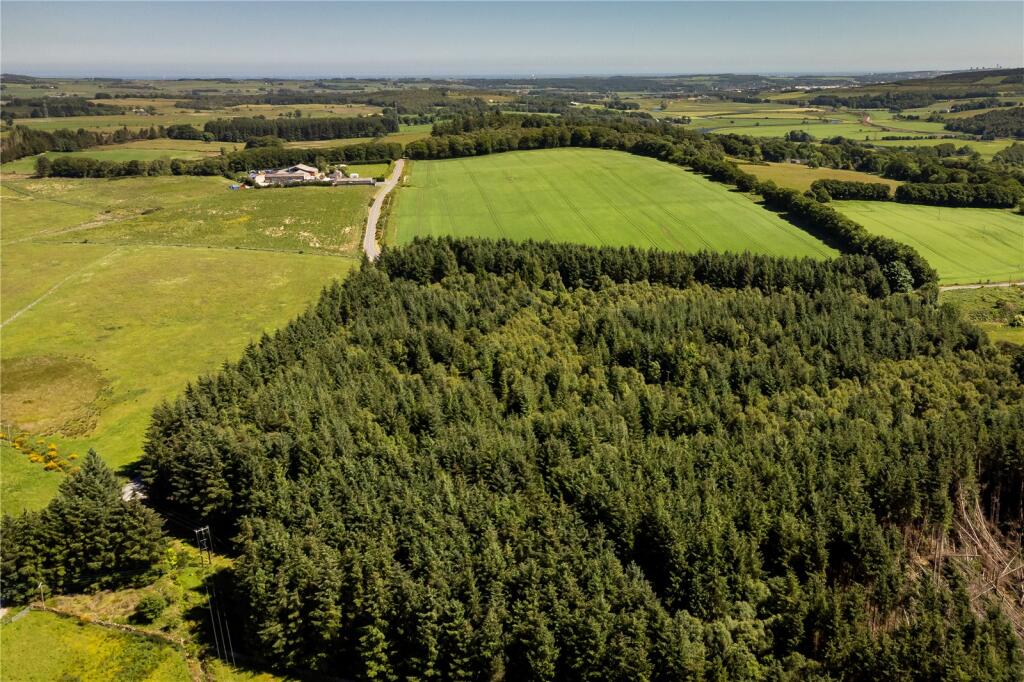 Additional image 6 of Lot 2 Hills Of Hatton & Bogriffie, Fintray, Aberdeen, Aberdeenshire, AB21