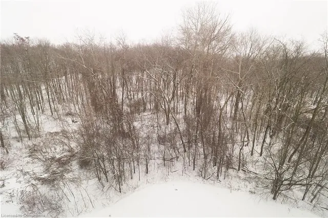 Additional image 21 of 50 Bryan Crt Unit 407