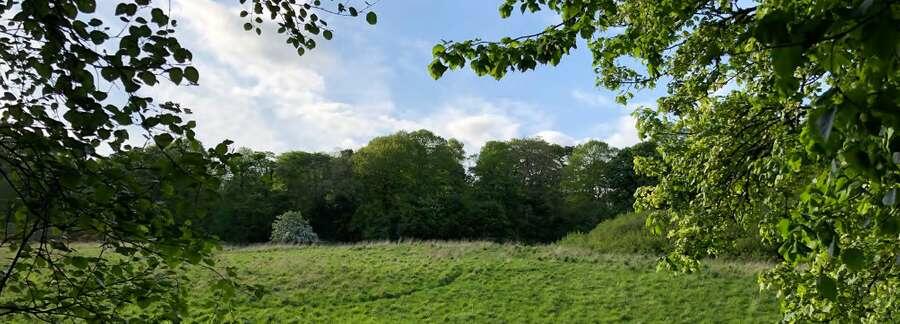 Additional image 6 of Land at North Deeside Road, Cults, Aberdeen