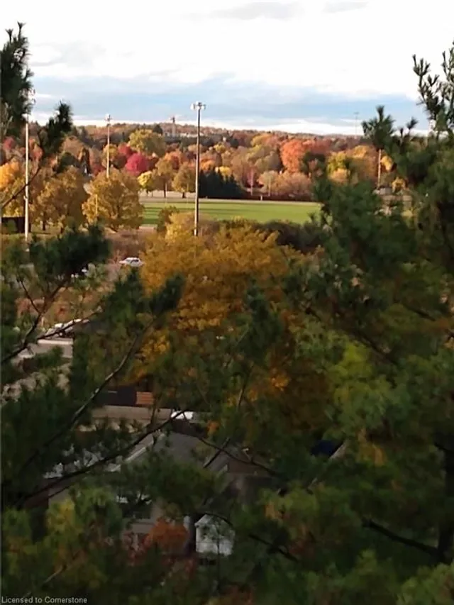 Additional image 48 of 260 Sheldon Ave Unit 808