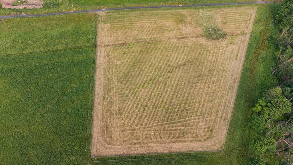 Additional image 13 of Fasque Estate, Aberdeenshire, AB30