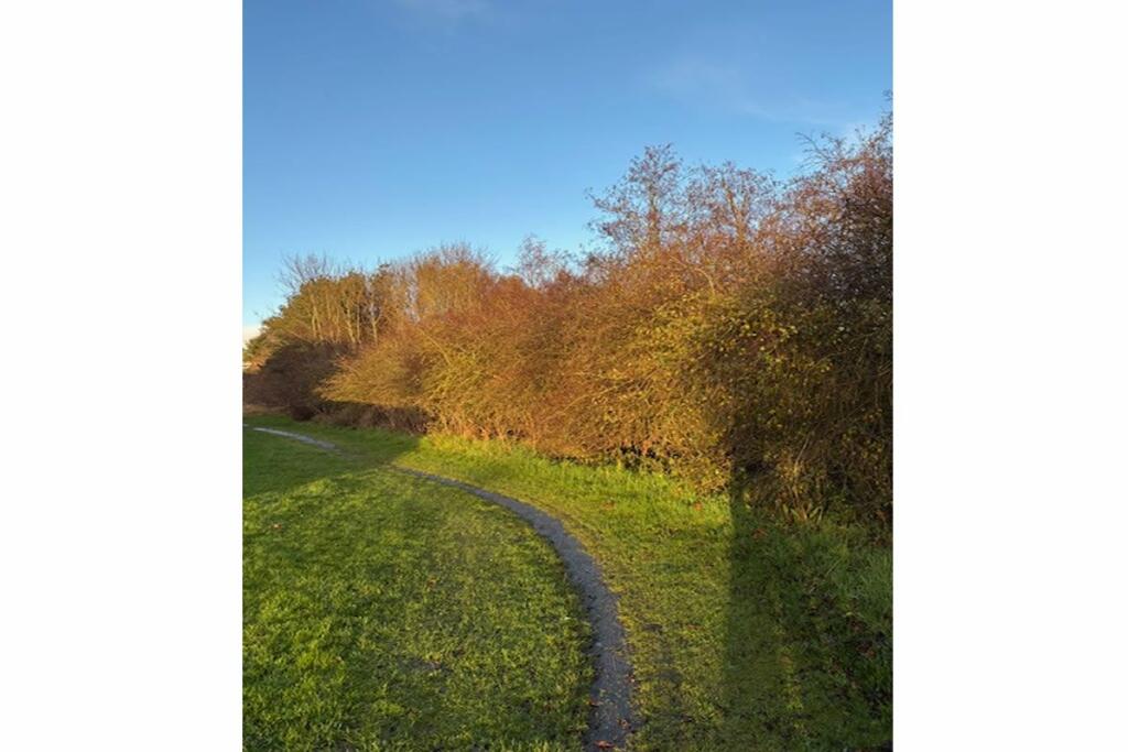 Additional image 3 of Area, at Seaview, Aberdeen, AB238RG