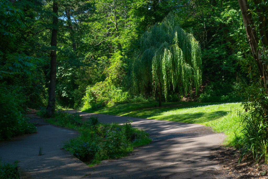 Additional image 20 of Forest Road, Branksome Park, Poole, Dorset, BH13