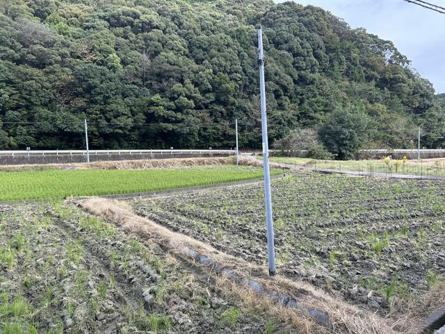 Additional image 7 of Nodatsubo, Hatamachi, Tokushima City, Tokushima Prefecture