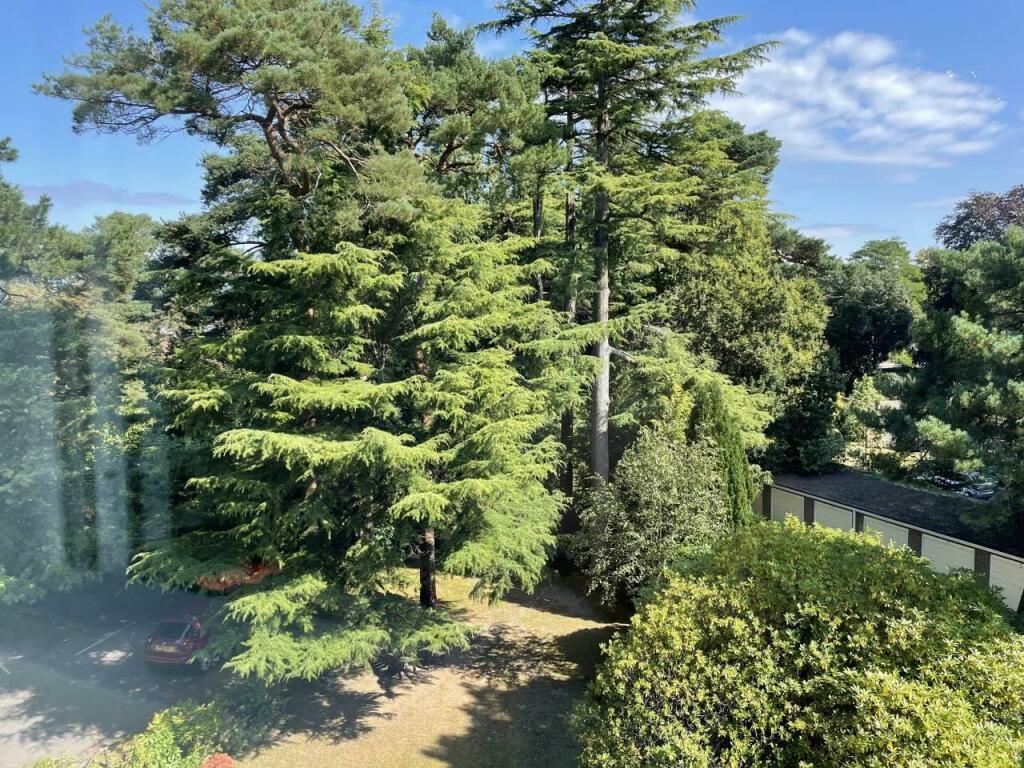 Additional image 13 of Wilderton Road, Branksome Park