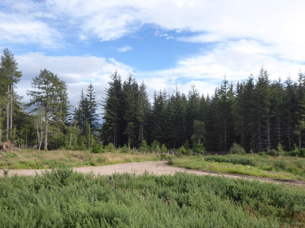 Additional image 4 of Plot 1, Cossack Wood, Craigellachie,  AB38 9SL: