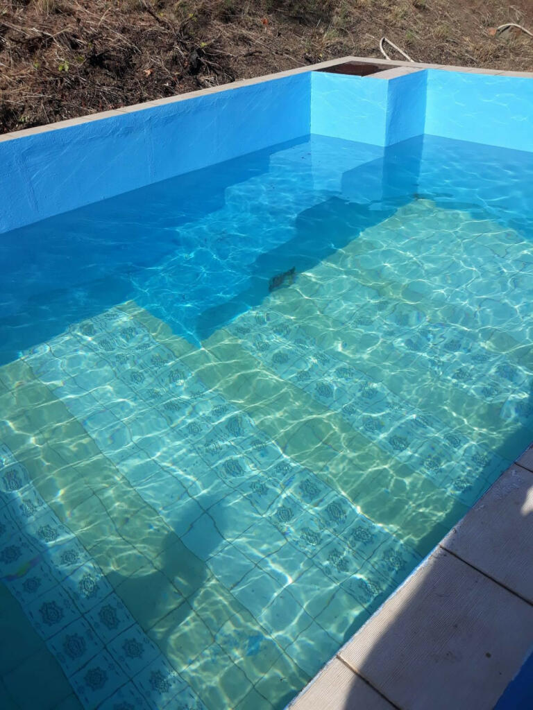 Additional image 2 of Andalucia, Malaga, Estepona, Spain